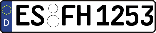 ES-FH1253