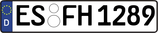 ES-FH1289