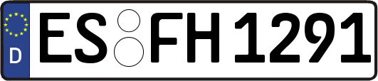 ES-FH1291