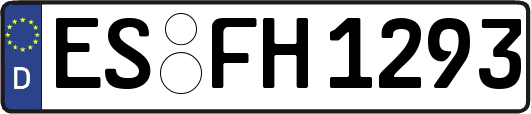 ES-FH1293