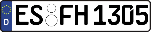 ES-FH1305