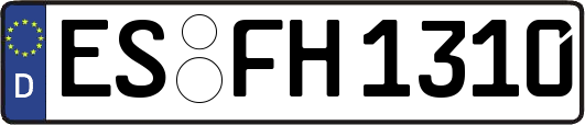 ES-FH1310
