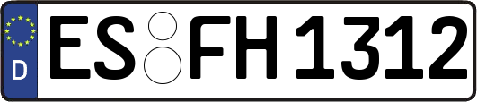 ES-FH1312
