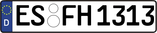 ES-FH1313
