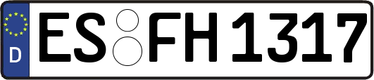 ES-FH1317