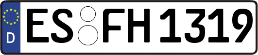 ES-FH1319