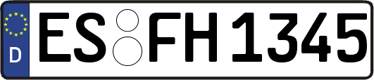 ES-FH1345
