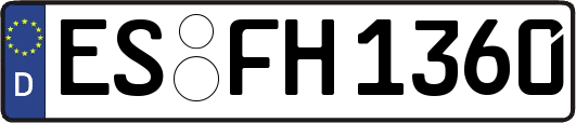 ES-FH1360