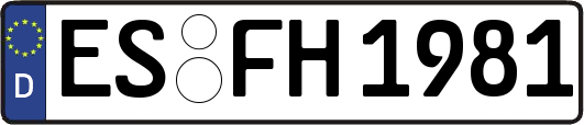 ES-FH1981