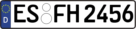ES-FH2456