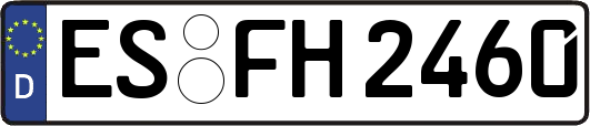 ES-FH2460