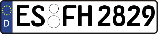 ES-FH2829