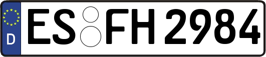 ES-FH2984