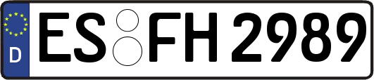 ES-FH2989