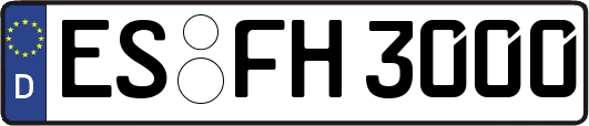 ES-FH3000