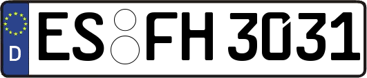 ES-FH3031