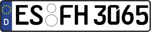 ES-FH3065