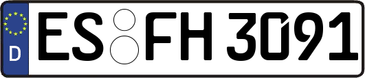 ES-FH3091