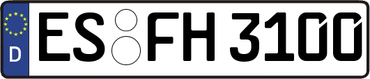 ES-FH3100