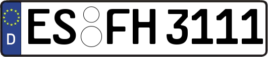 ES-FH3111