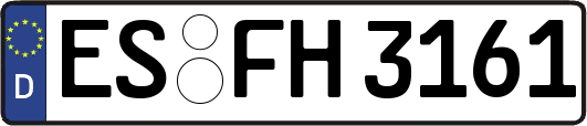 ES-FH3161