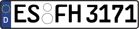 ES-FH3171