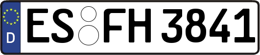 ES-FH3841