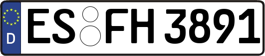 ES-FH3891