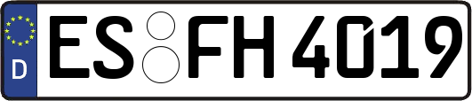 ES-FH4019