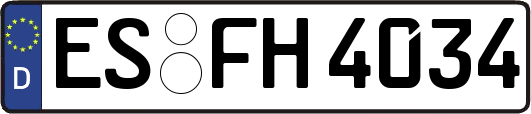 ES-FH4034