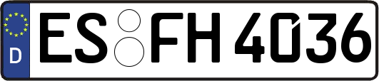 ES-FH4036