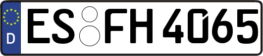 ES-FH4065