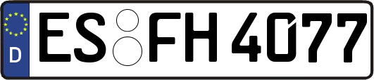 ES-FH4077