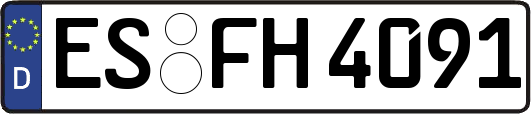 ES-FH4091