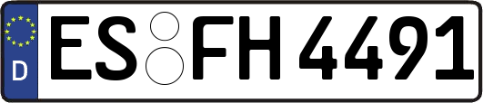 ES-FH4491