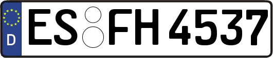 ES-FH4537