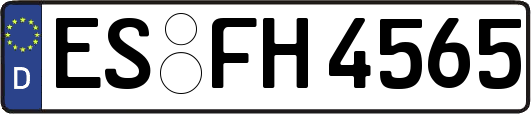 ES-FH4565