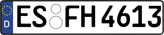 ES-FH4613