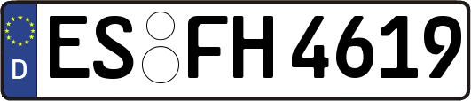 ES-FH4619
