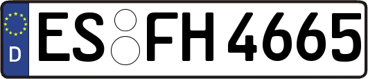 ES-FH4665