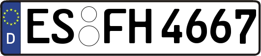 ES-FH4667