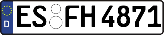 ES-FH4871