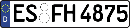 ES-FH4875