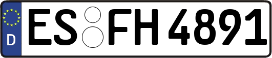 ES-FH4891