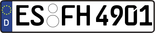 ES-FH4901