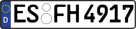 ES-FH4917