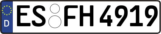 ES-FH4919