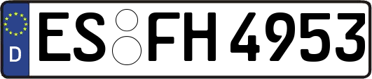ES-FH4953