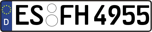 ES-FH4955