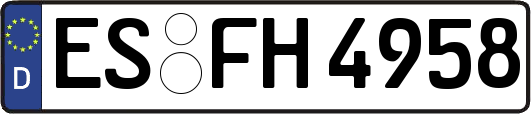ES-FH4958